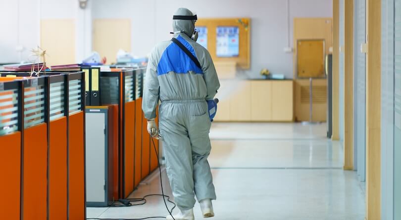 Дератизация для юридических лиц в Люберцах